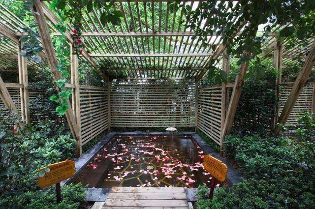 重庆海棠晓月圣地温泉附近轻轨站,重庆附近的温泉海棠晓月