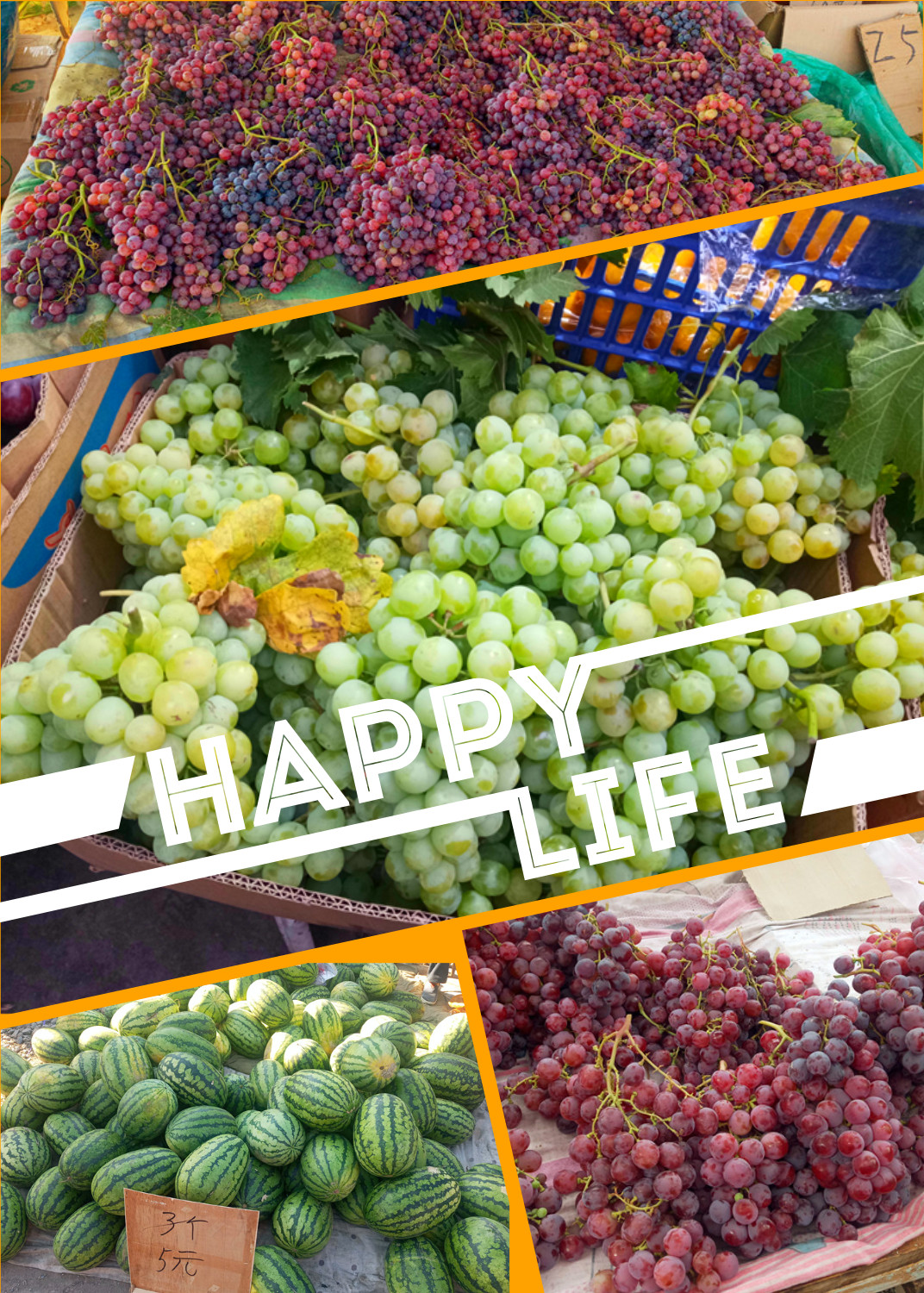 戈壁明珠石河子,石河子屯垦戍边的故事