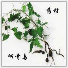 古人如何防脱发,中医古代防脱发的最佳方法