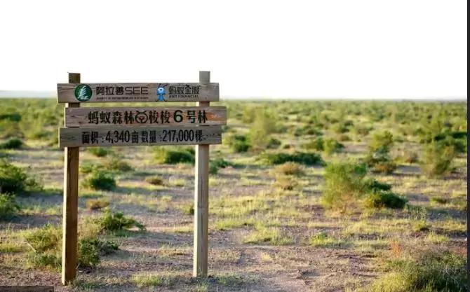 马云退休原因分析,独家揭秘马云凭什么退休