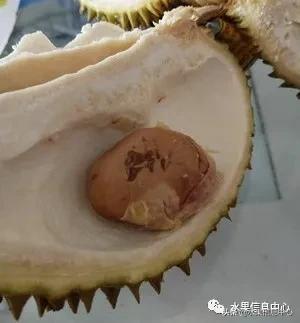 在网上买水果有哪些坑,在网上买水果划算吗