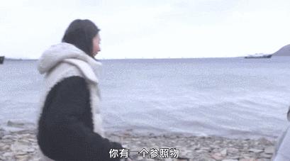 业内人士评价刘雯,刘雯到底有多难