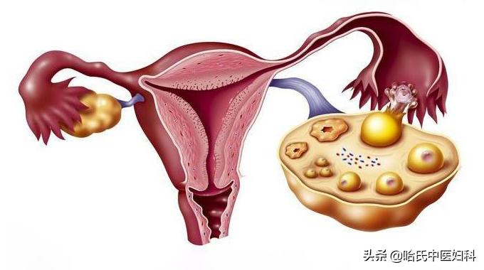 38岁得了卵巢早衰怎么办呢,47岁女人卵巢衰老怎么治疗
