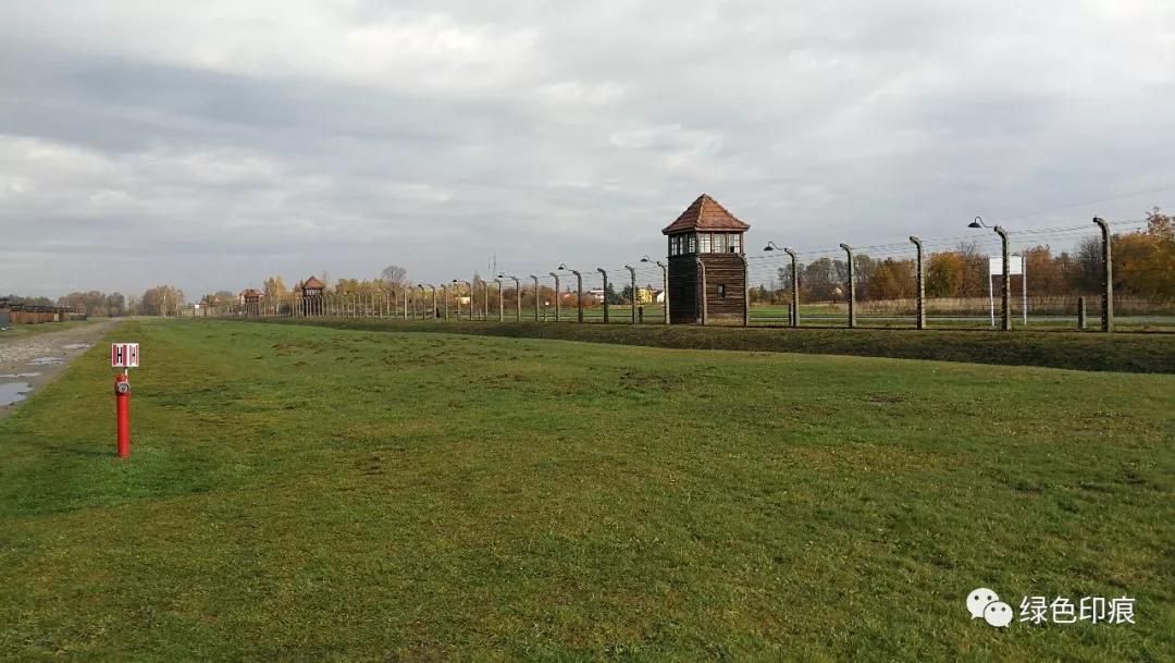 奥斯维辛集中营旅游,奥斯维辛集中营雏菊