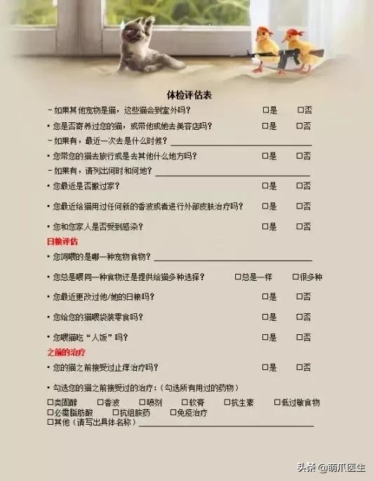 猫咪过敏是属于炎症反应吗,猫咪过敏怎么排除过敏源