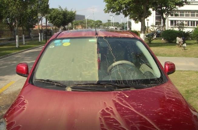 洗车从来没打蜡镀晶过,车漆不用打蜡最好的方法