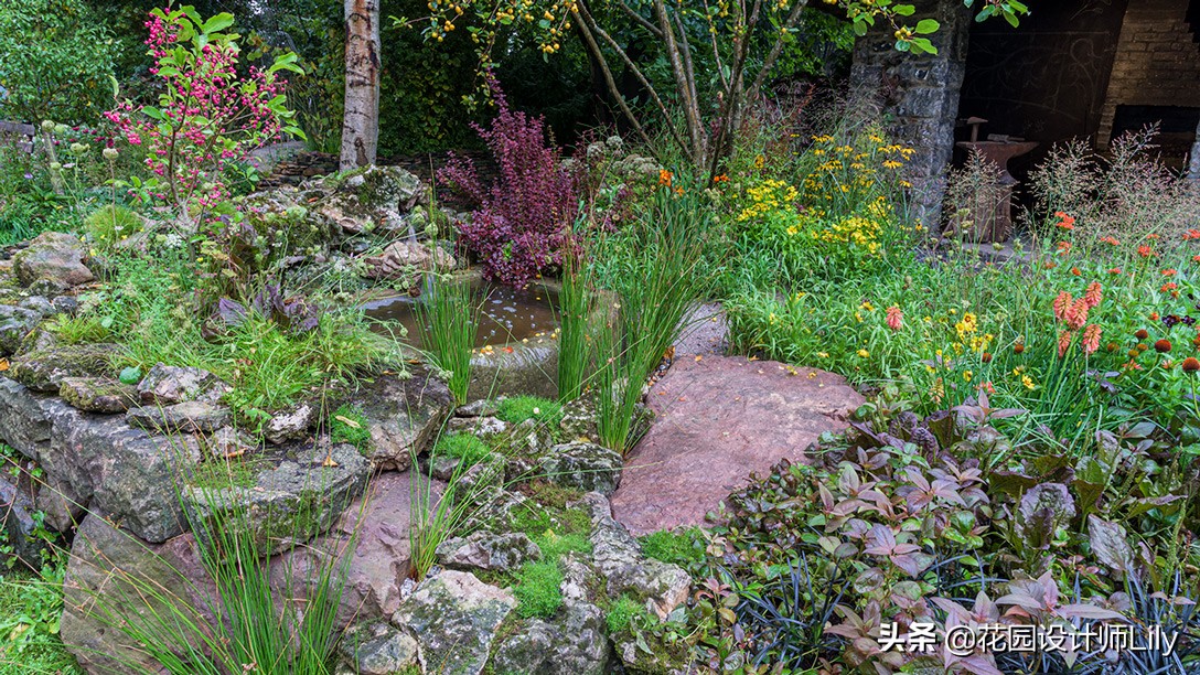 2023年切尔西花展各个花园的介绍,切尔西花展最佳花园