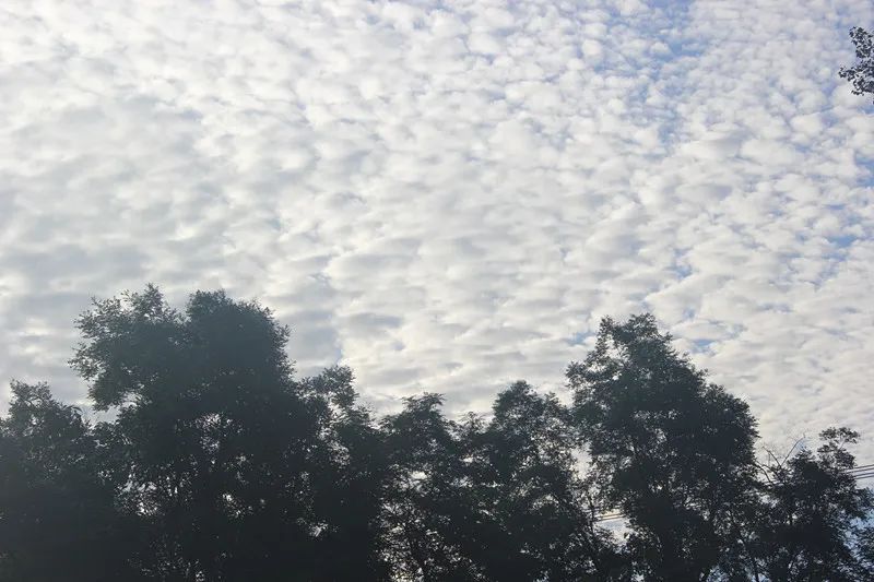 蔚蓝的天空借景抒情,蔚蓝的天空的优美比喻句子