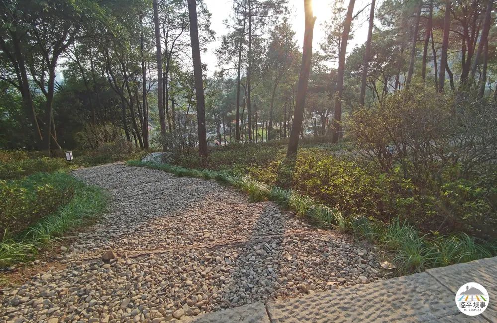 临平体育馆改扩建有篮球场吗,体育公园篮球场施工