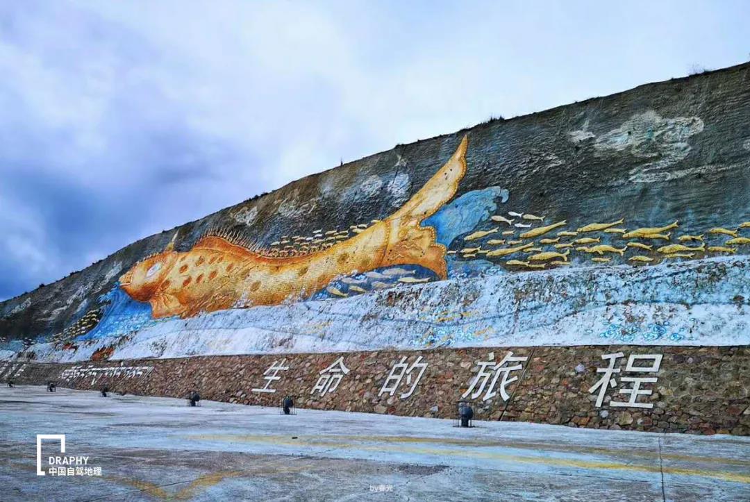 青海湖攻略2019,青海湖小环线自驾游最新攻略