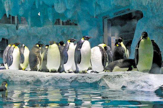 珠海长隆三日游攻略及住宿,珠海长隆游玩攻略3天2晚住宿套票