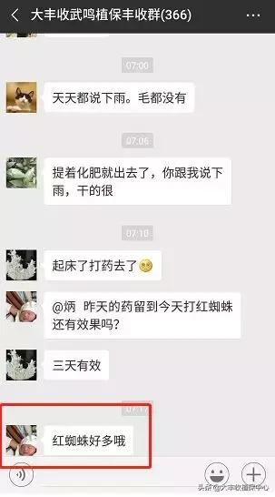 红蜘蛛锈壁虱大爆发该怎么用药,对红蜘蛛和锈壁虱有用的杀螨剂