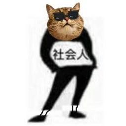 零差评的水乳套装,零差评水乳