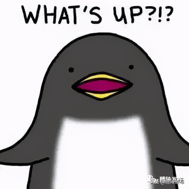 不用进群不用“拼”,小编教你用最少的钱过上精致生活