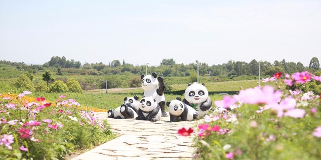 坐拥“中优”“南拓”双红利！