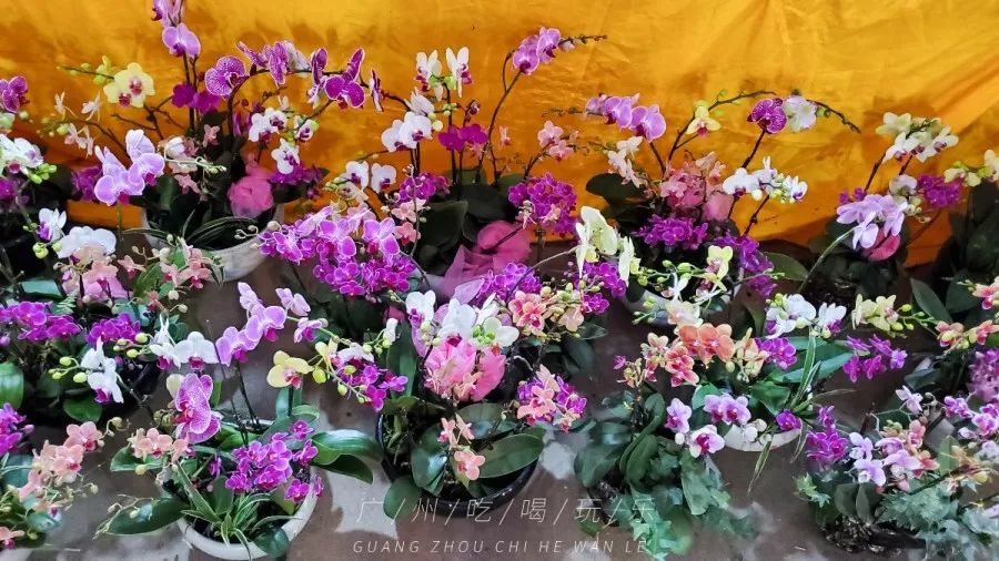 广州最值得购物的东西,广州购物攻略推荐