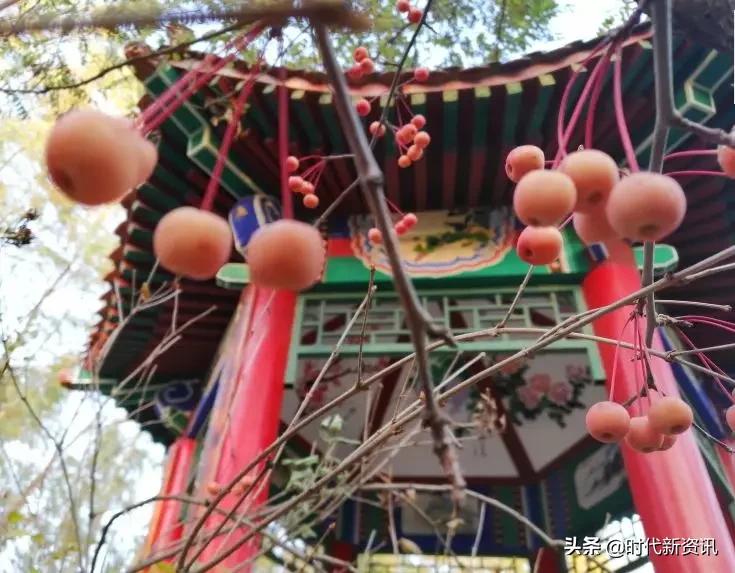 北洋小学灵丘招生,灵丘市北洋小学多少学费