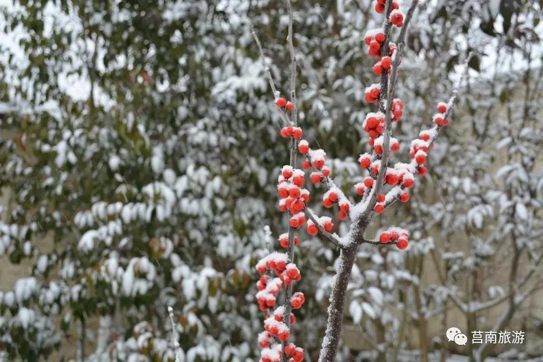 莒南自驾游免费景点大全图片,莒南春季游玩好去处推荐