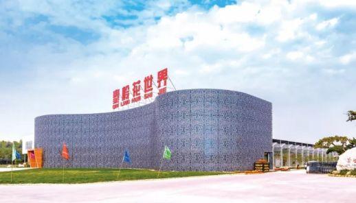 西安三桥附近哪里有花卉市场,西安北二环大明宫花卉市场地址