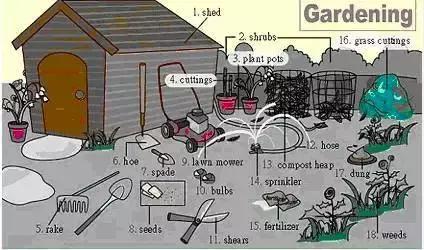 30张场景单词图,教你记住高频生活词(建议收藏)