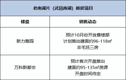 南湖房价一览表,南湖未来的新盘