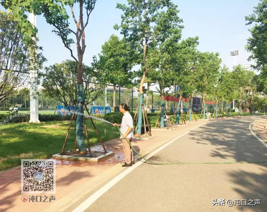 武汉卓尔足球公园,武汉王家墩足球公园