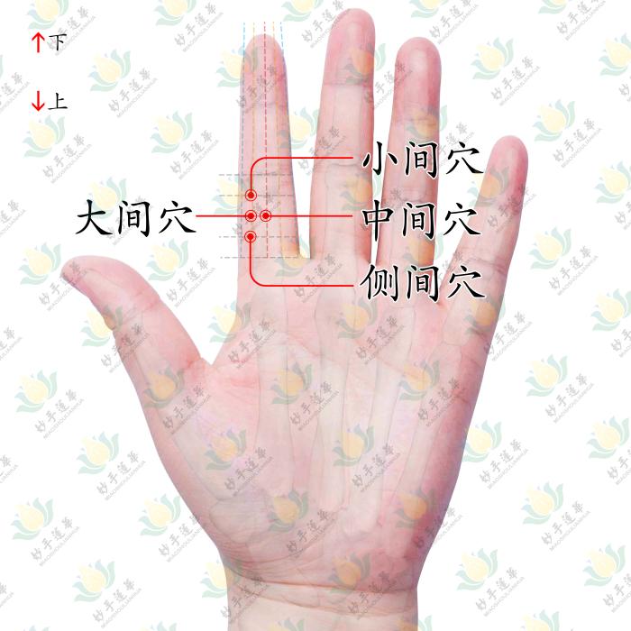 对病症涉猎广泛的小、大、中、侧间穴四兄弟来报道