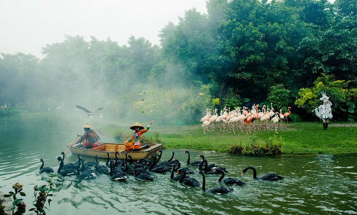 长隆飞鸟乐园湿地精灵,长隆飞鸟公园一日游攻略