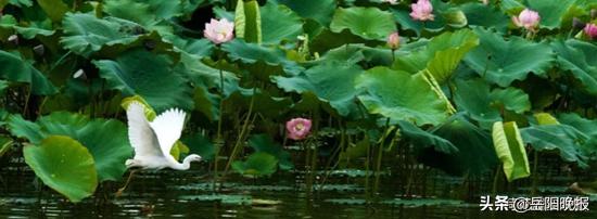 昆明嘉丽泽恒大养生谷,昆明嘉丽泽恒大养生谷湿地公园