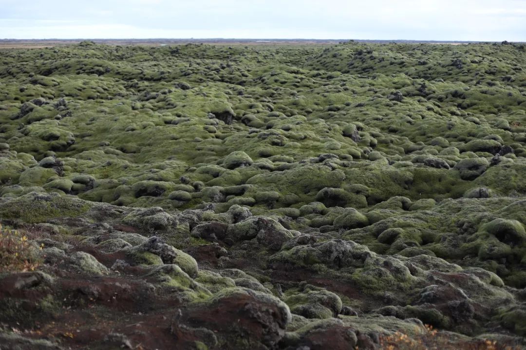 冰岛自驾追寻刺激与极光之旅,冰岛之旅突生波折