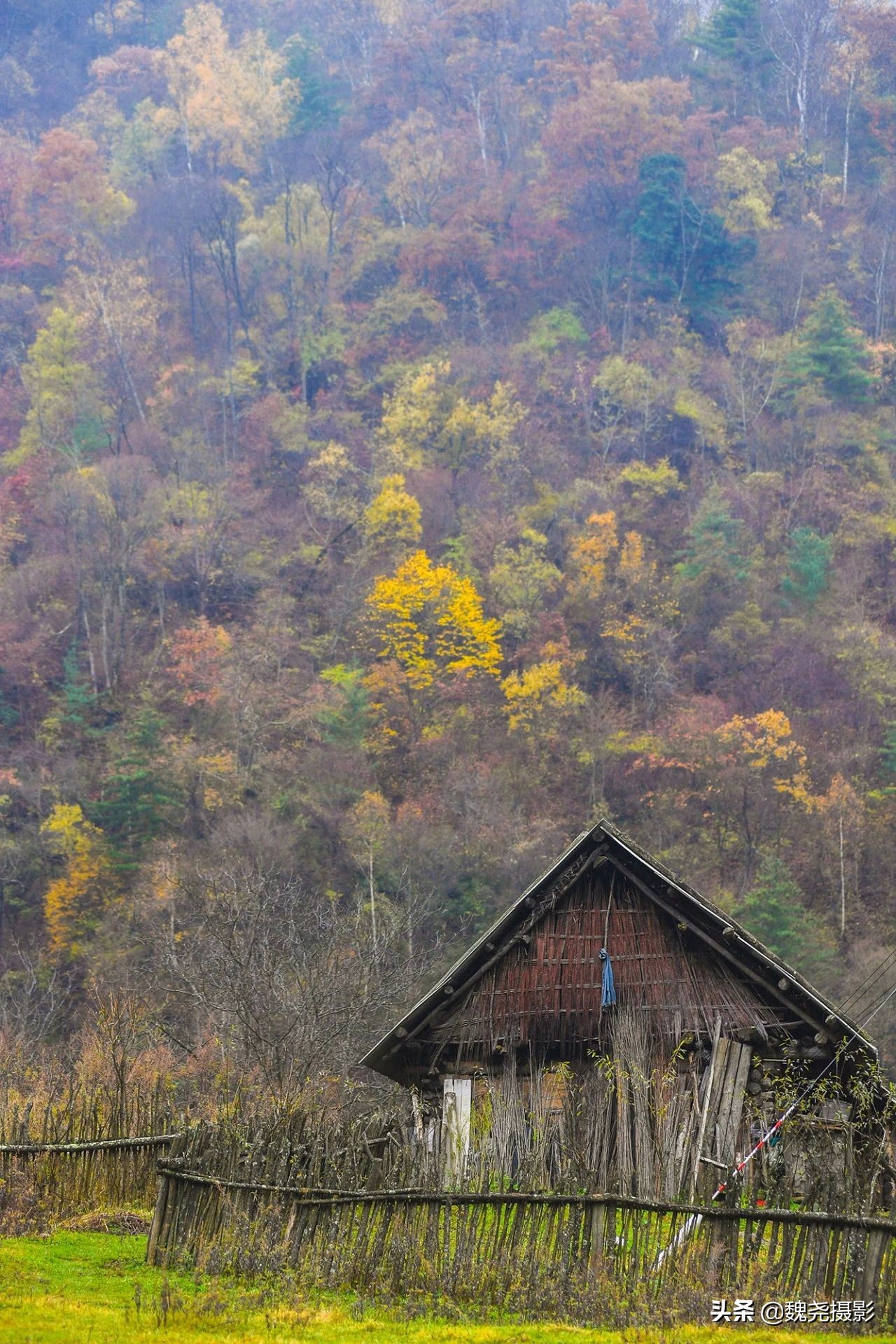 留坝秦岭之夜,留坝秦岭森林公园