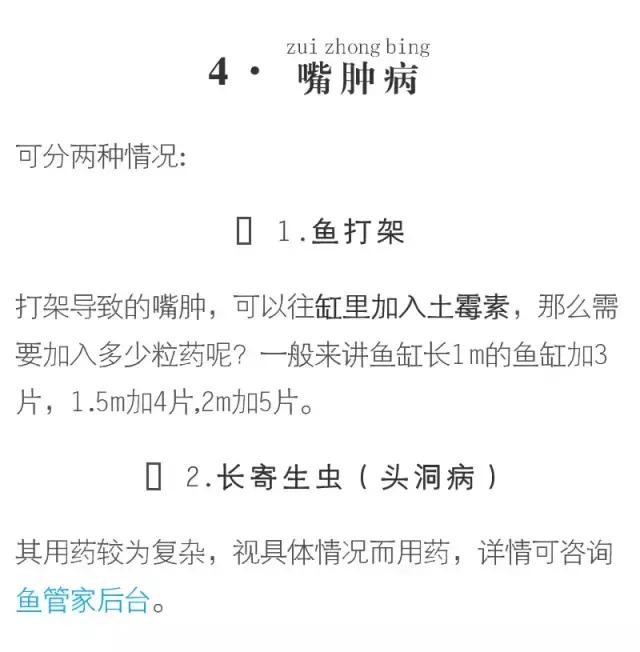 血鹦鹉鱼疾病和治疗方法,红鹦鹉怎么治疗最有效