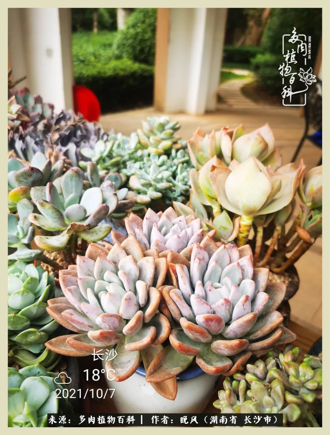 摇身一变成了奶爸,摇身一变成为打工人