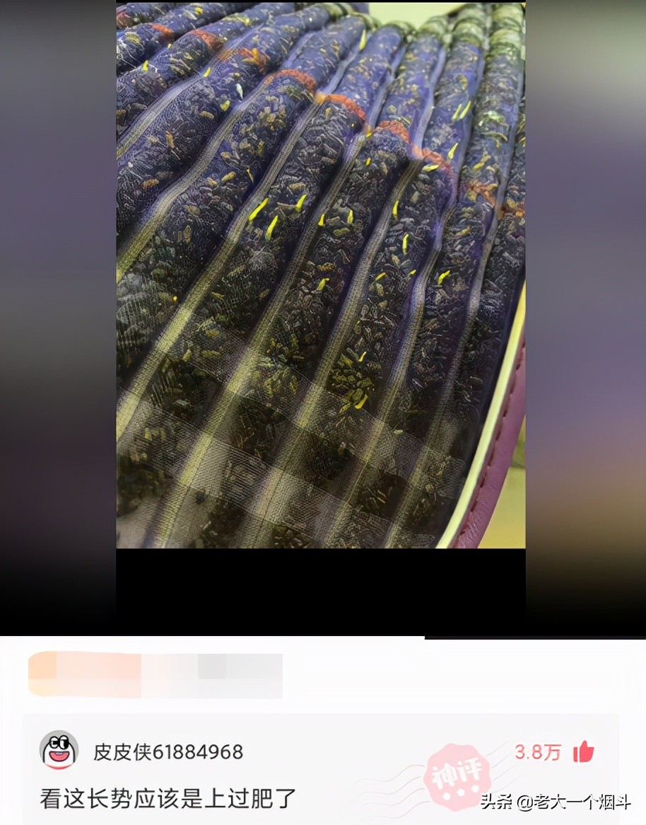 那些让你笑出猪叫的小说,三十个让你爆笑的神回复