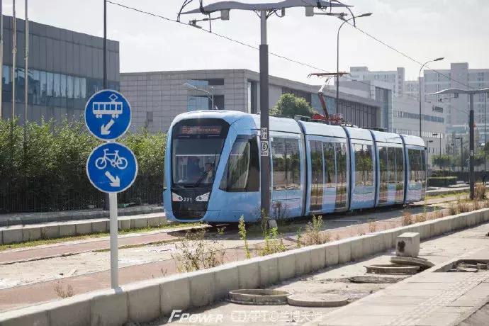 从蓉2来|天天看见“叮叮猫”跑来跑去的,它到底在忙什么啊?