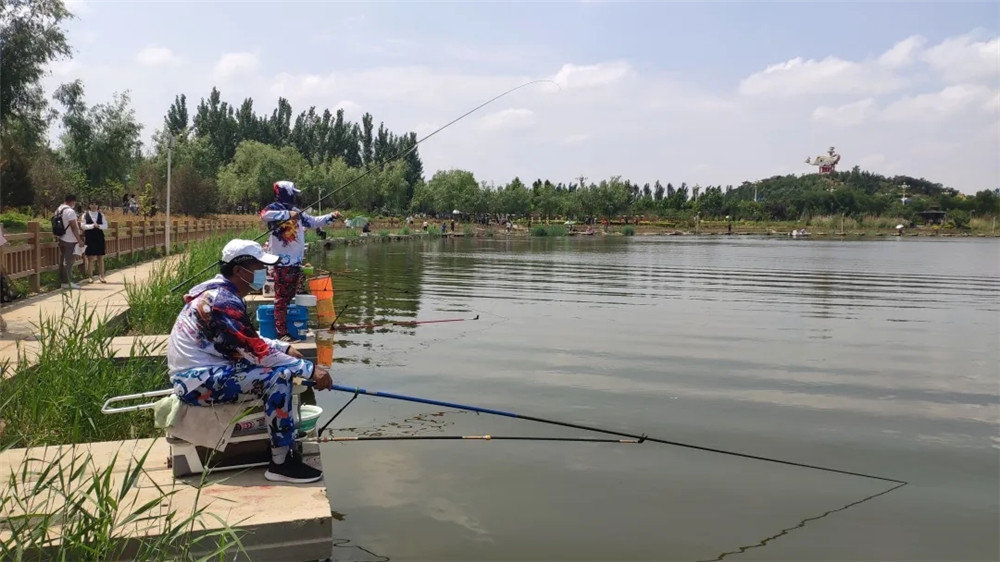 直播“云游”河北古县！连办29年红杏商务节点将巨鹿“四大美景”