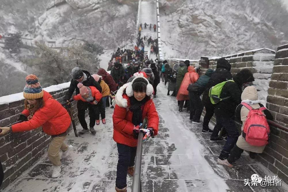 北京迎初雪9只熊猫,北京喜迎初雪去北京动物园看熊猫