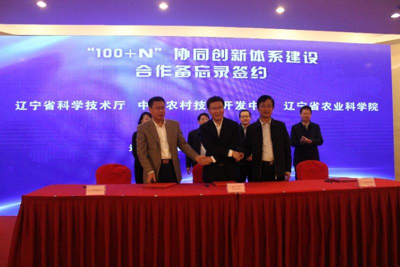 沈阳日报12月13日,沈阳新闻9月16日