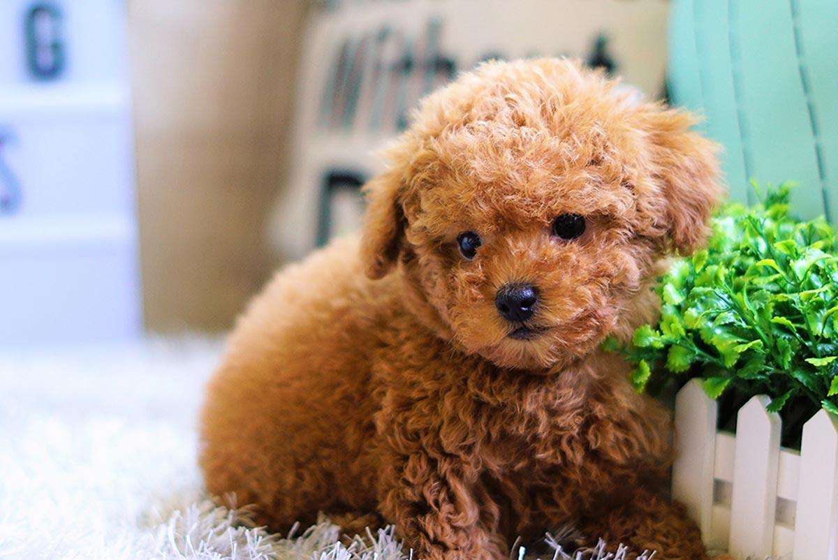 畸形的爱和畸形的恨,畸形的爱真的可怕吗