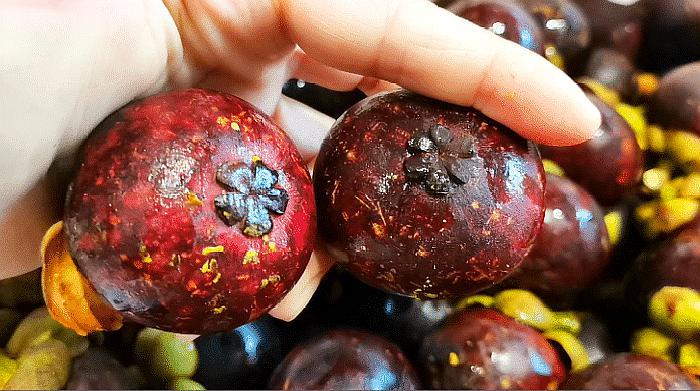 水果山竹硬的好还是软的好,山竹挑选皮硬还是皮软的