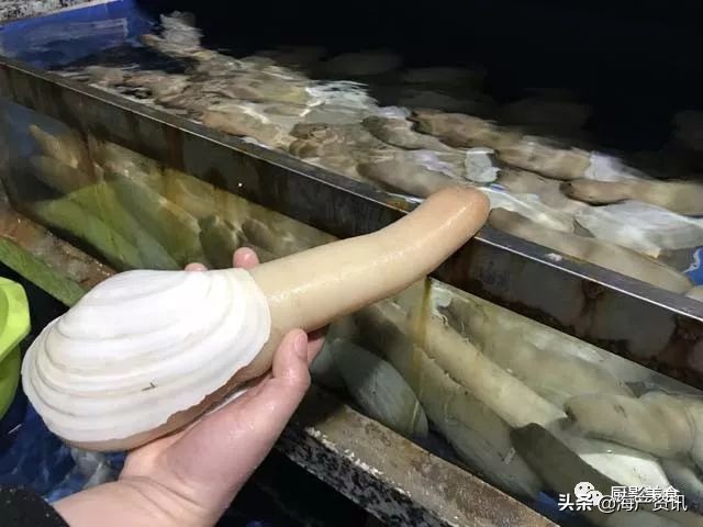 全世界顶级的4种海鲜,世界十大名贵海鲜