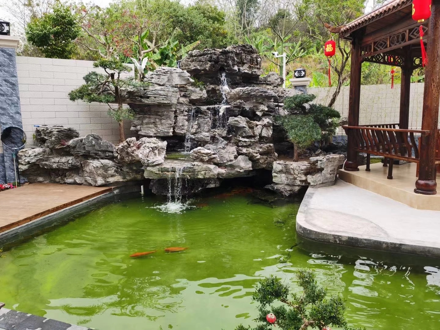 家里院子适合放什么盆栽,家里院子放什么好看