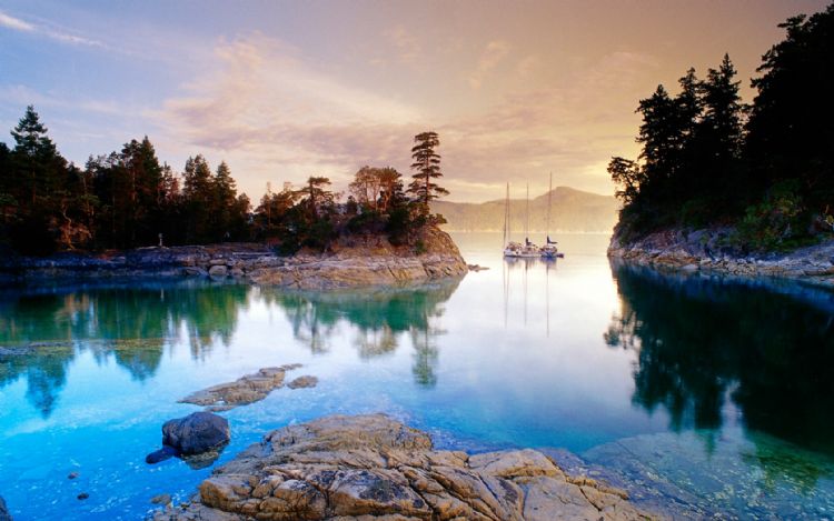 加拿大读专业技巧,加拿大专业难点