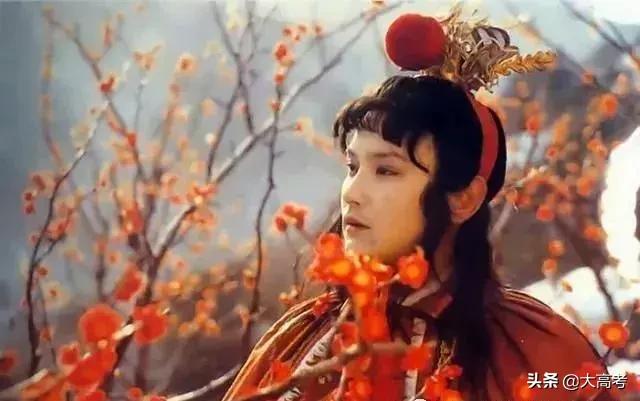 杭州一高中生续写红楼梦,续写红楼梦的高中生王宁