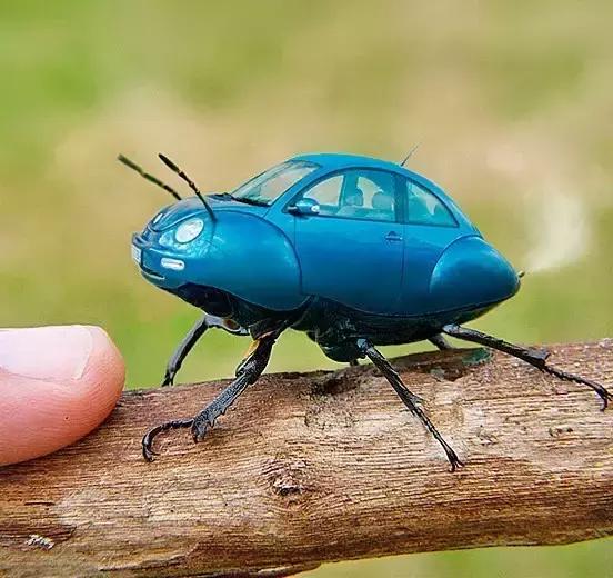 *安泰**竟然还有这么多奇葩土豪村名！看了不许笑哦！！