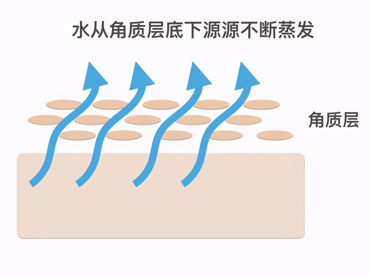 口干起皮怎么办涂润唇膏,为什么涂了变色唇膏嘴唇发干起皮