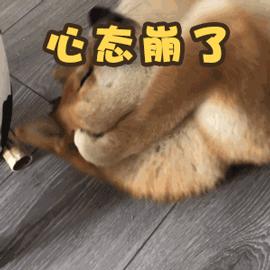 妈妈用哪种儿童牙膏好,妈妈说牙膏治百病