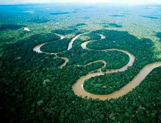 蛇类的寿命一般是多久呢,蟒蛇可以活多少年