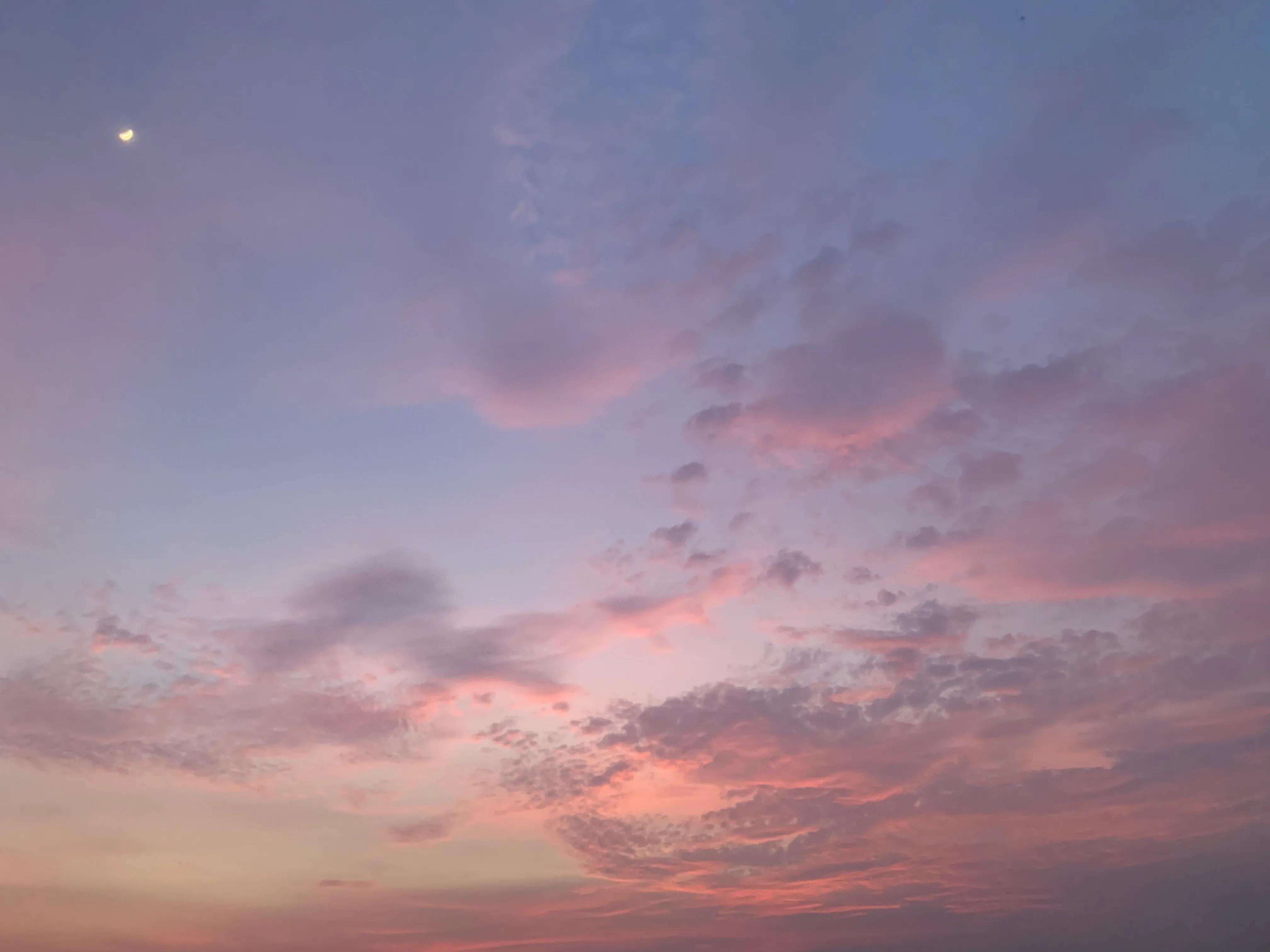 职业调研心理咨询师,心理咨询师职业生涯人物访谈报告