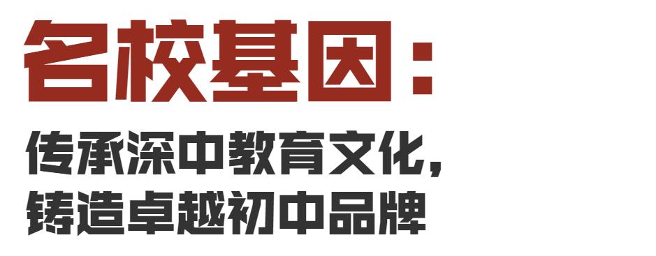 深中龙初入学积分,深圳中学初中部与深中龙初哪个好